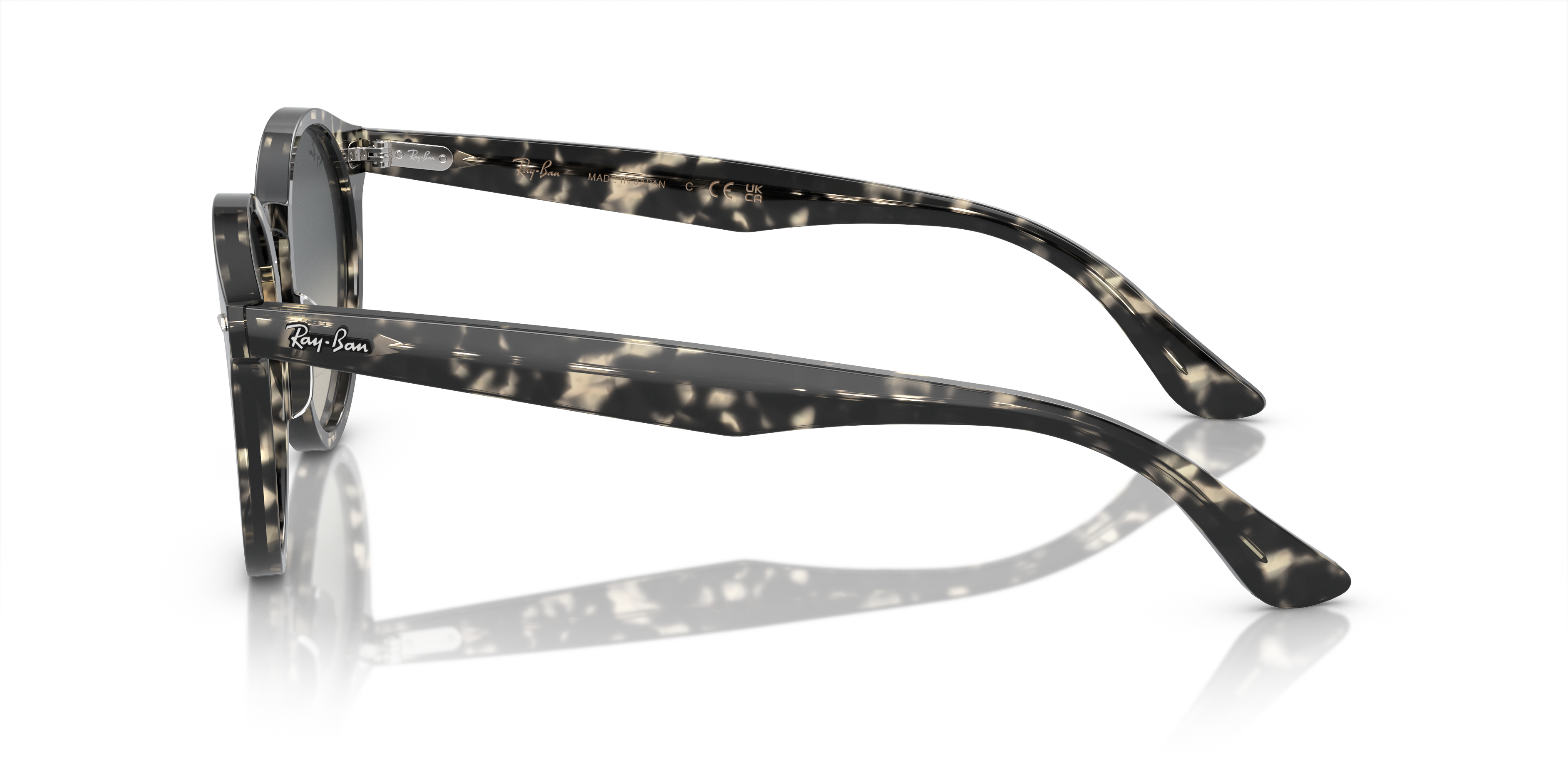 Ray-Ban Larry Sunglasses RB7680S 133371