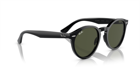 Ray-Ban Larry Sunglasses RB7680S 901/31