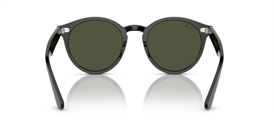 Ray-Ban Larry Sunglasses RB7680S 901/31