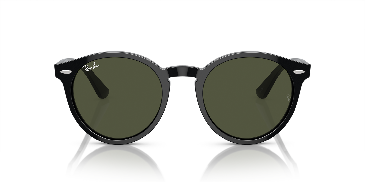 Ray-Ban Larry Sunglasses RB7680S 901/31