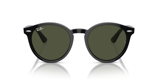 Ray-Ban Larry Sunglasses RB7680S 901/31