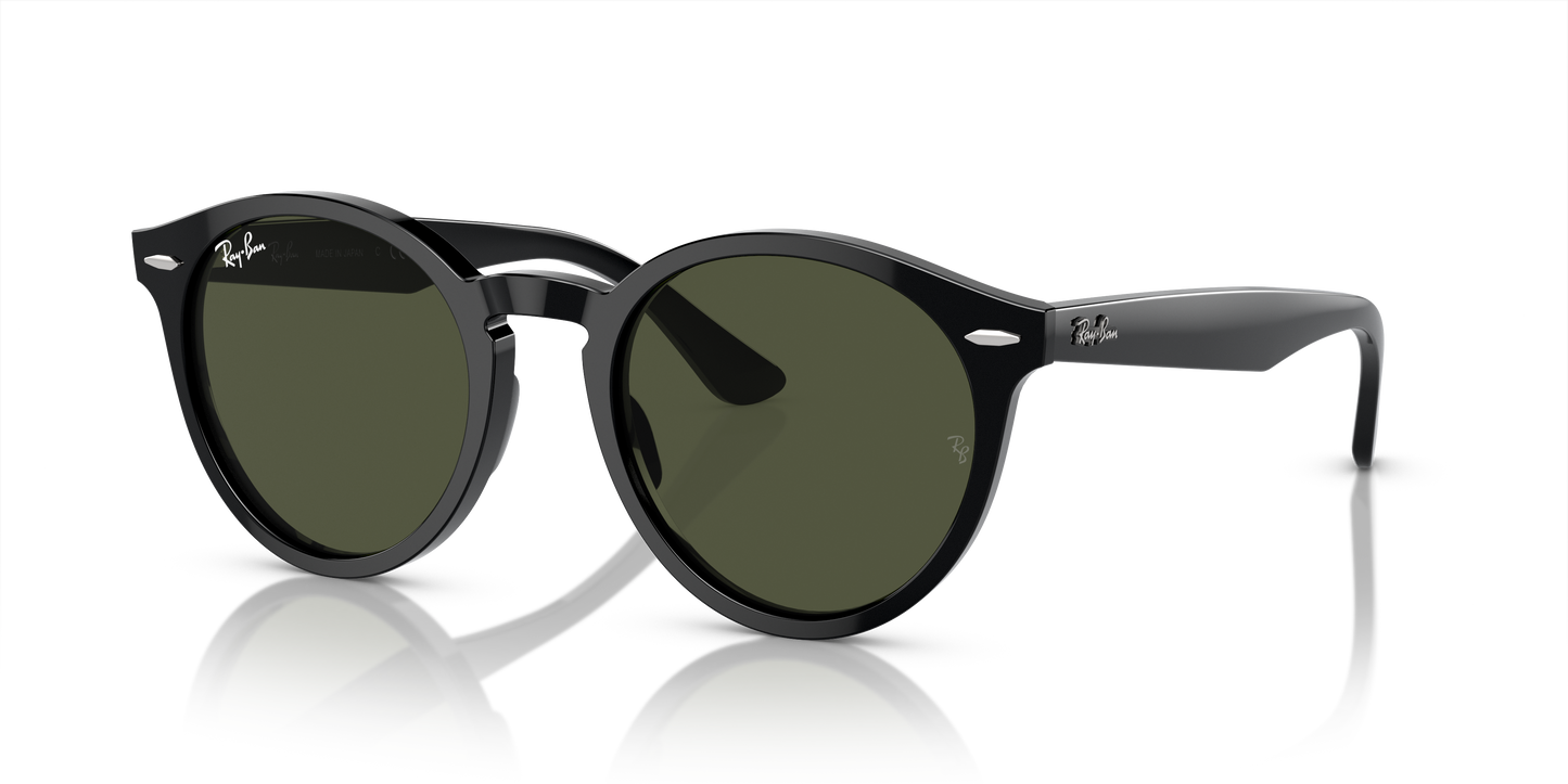 Ray-Ban Larry Sunglasses RB7680S 901/31