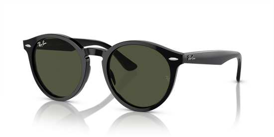 Ray-Ban Larry Sunglasses RB7680S 901/31