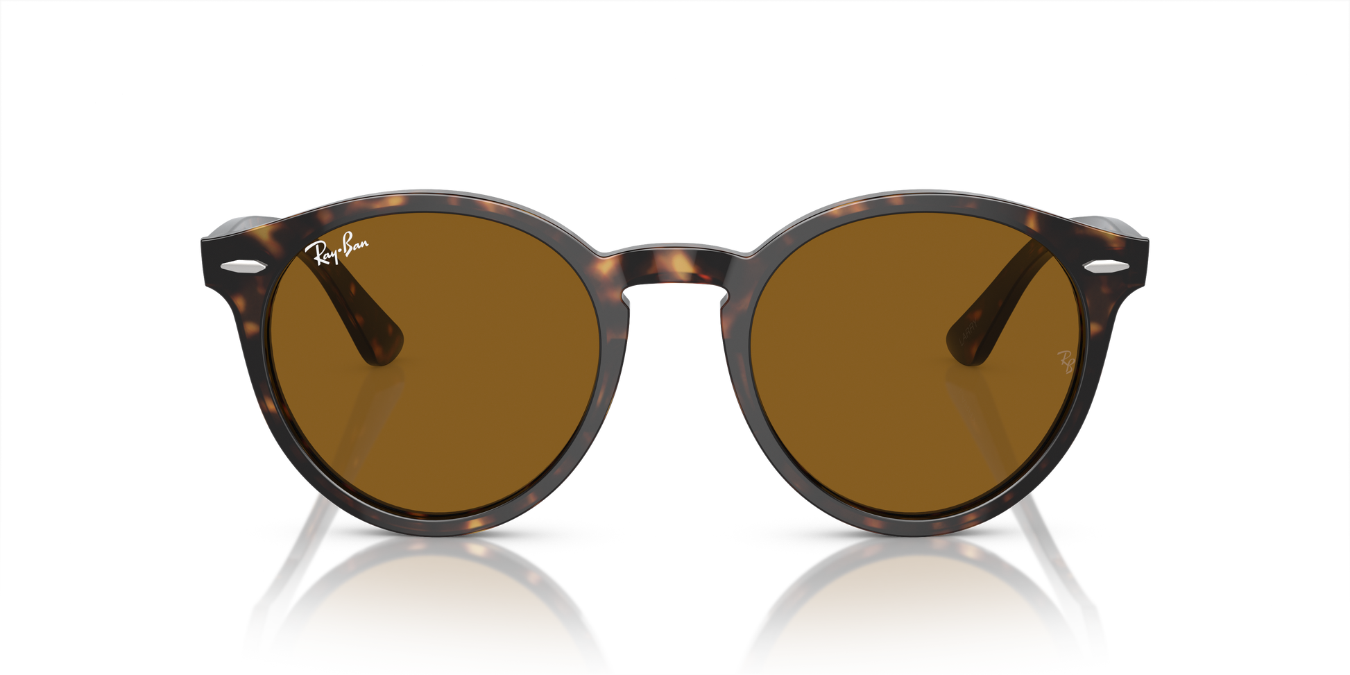 Ray-Ban Larry Sunglasses RB7680S 902/33