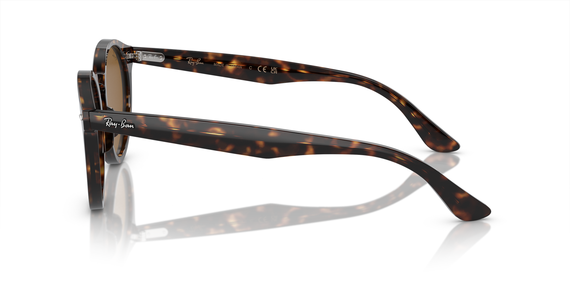 Ray-Ban Larry Sunglasses RB7680S 902/33