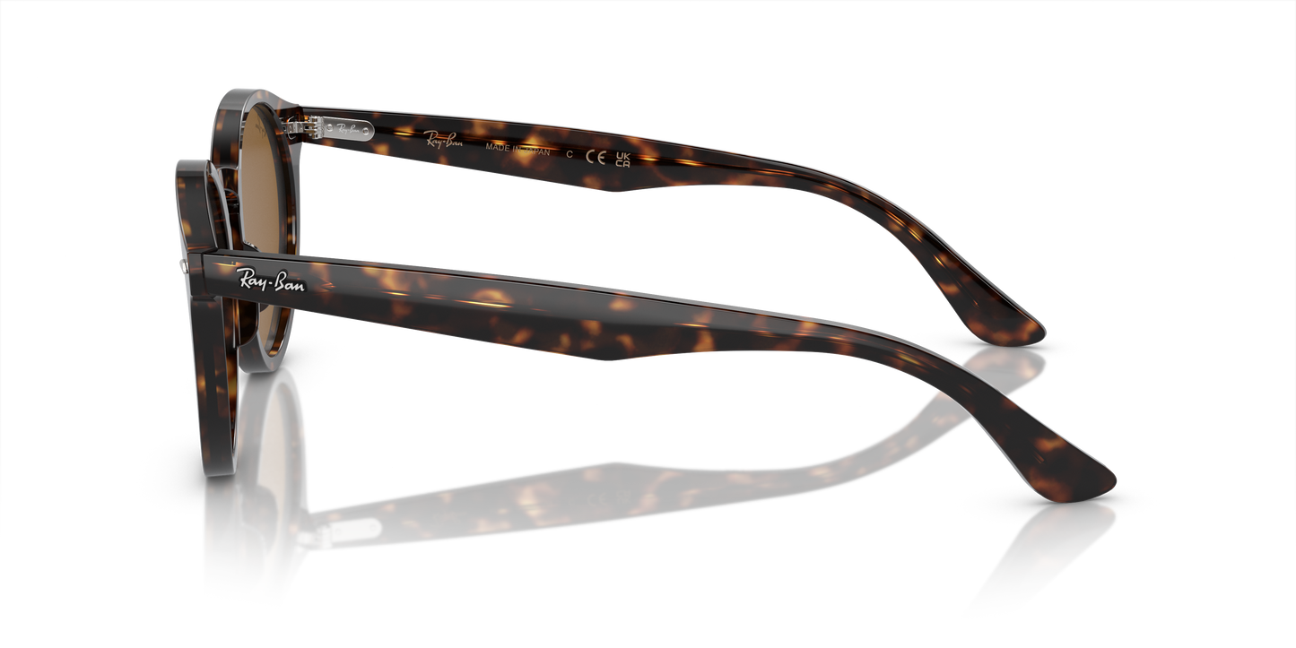 Virginia Sunglass Strap – Thirty Ninth Parallel