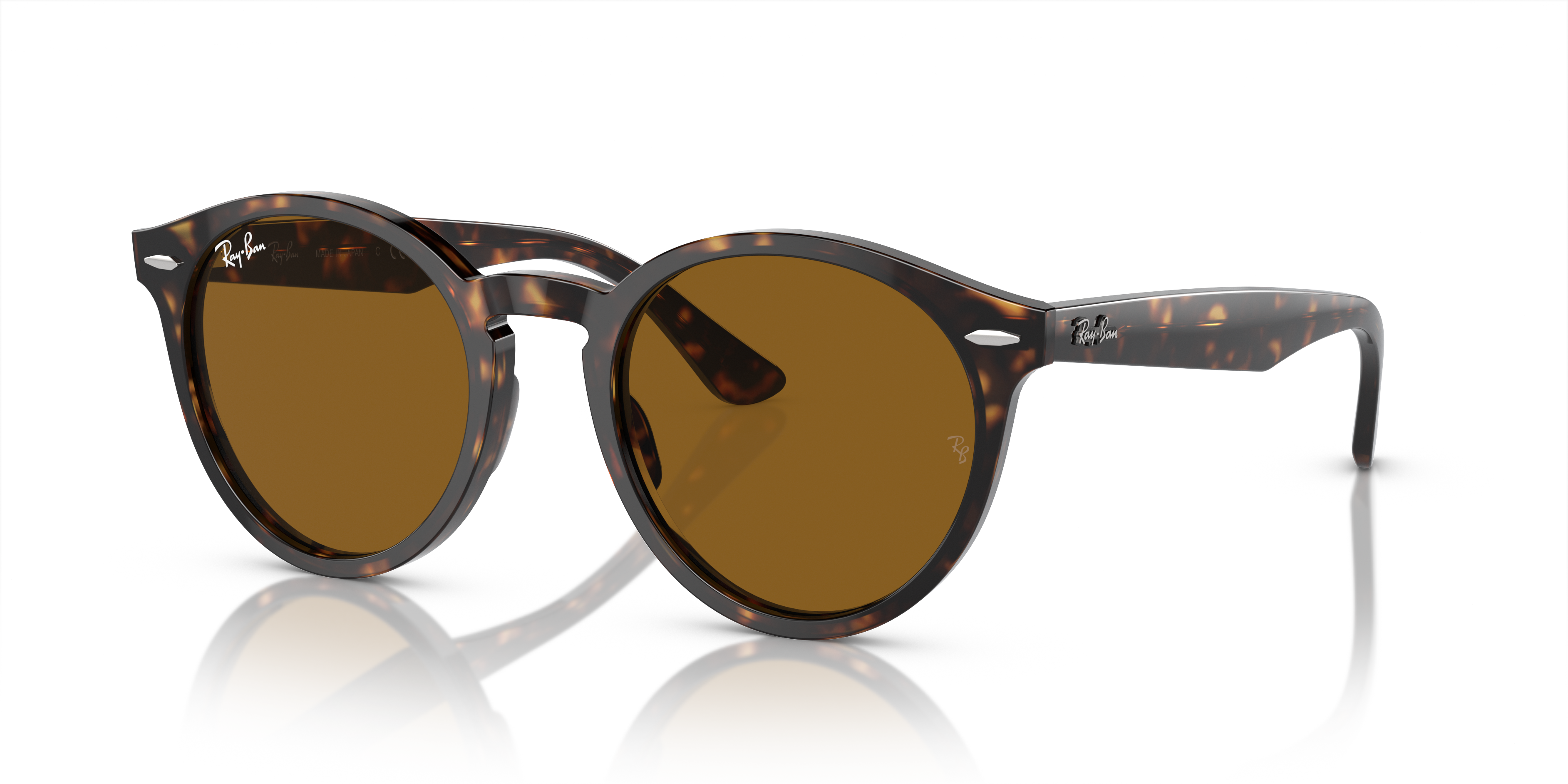 Ray-Ban Larry Sunglasses RB7680S 902/33