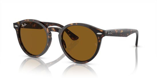 Ray-Ban Larry Sunglasses RB7680S 902/33