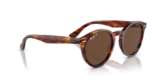 Ray-Ban Larry RB7680S 954/AN Striped Havana – LookerOnline