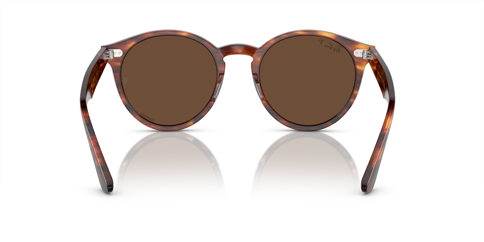 Ray-Ban Larry Sunglasses RB7680S 954/AN