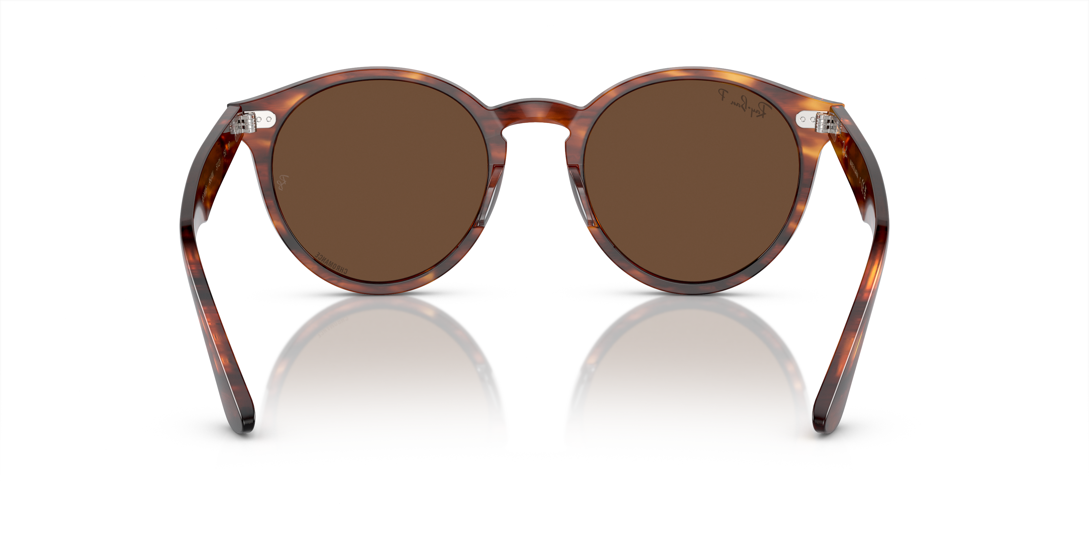 Ray-Ban Larry Sunglasses RB7680S 954/AN