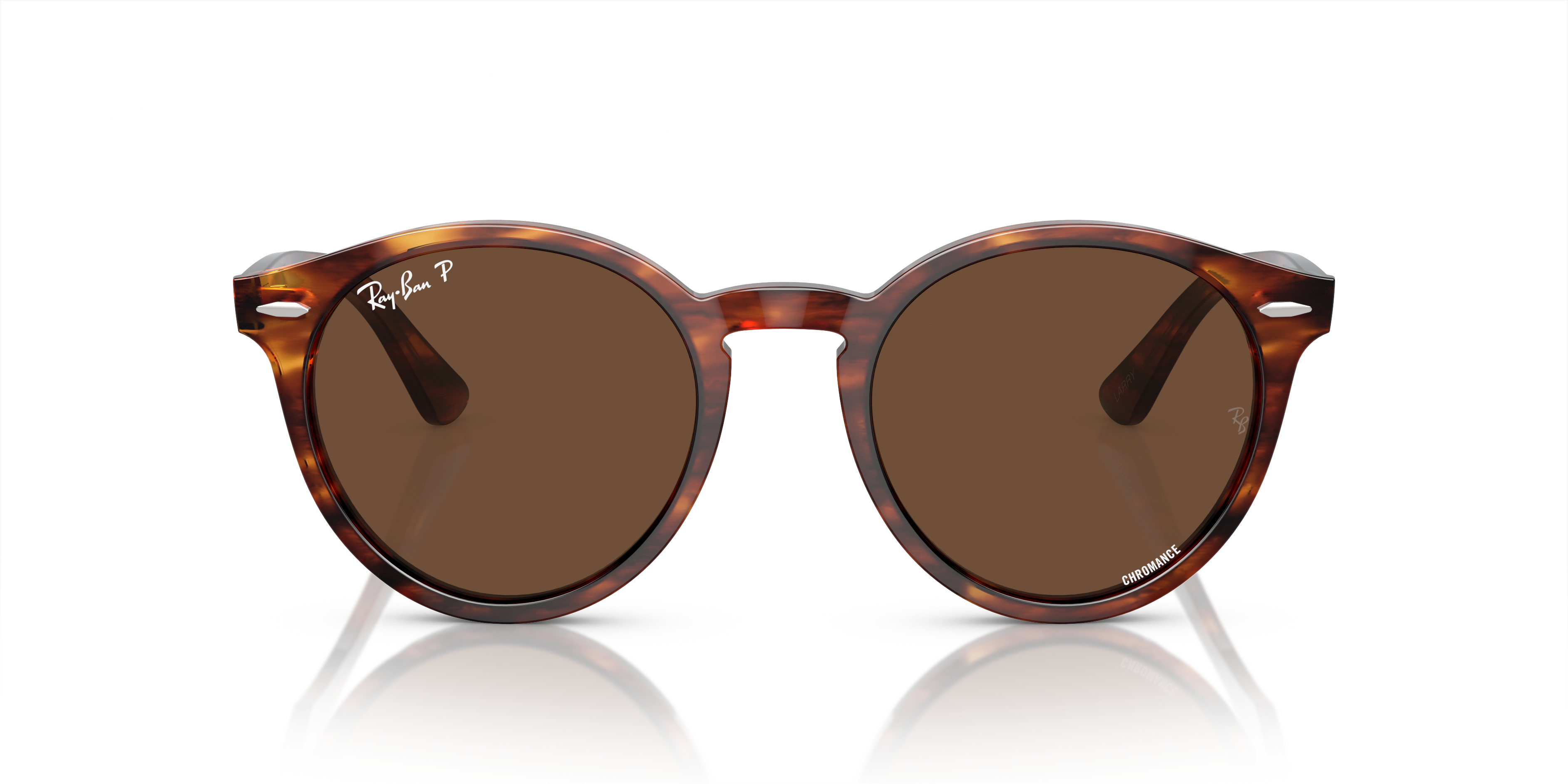 Ray-Ban Larry Sunglasses RB7680S 954/AN