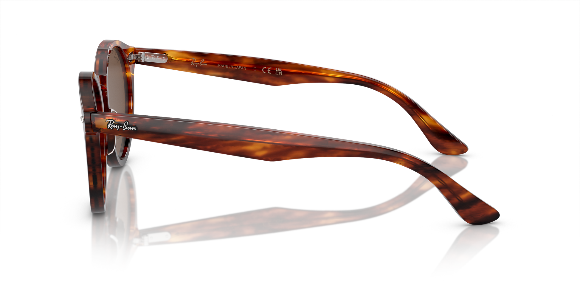 Ray-Ban Larry Sunglasses RB7680S 954/AN