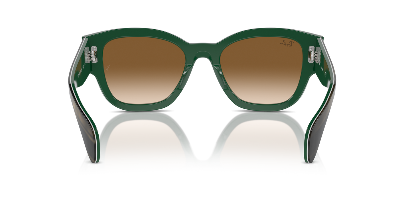 Ray-Ban Jorge Sunglasses RB7681S 140251