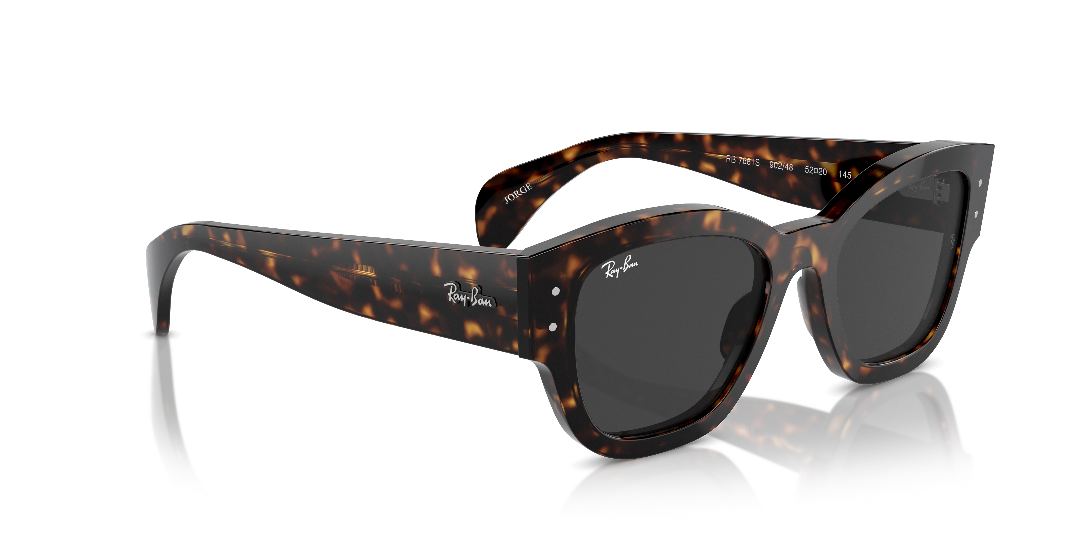 Ray-Ban Jorge Sunglasses RB7681S 902/48