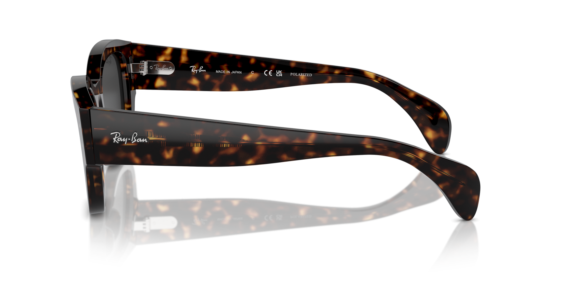 Ray-Ban Jorge Sunglasses RB7681S 902/48