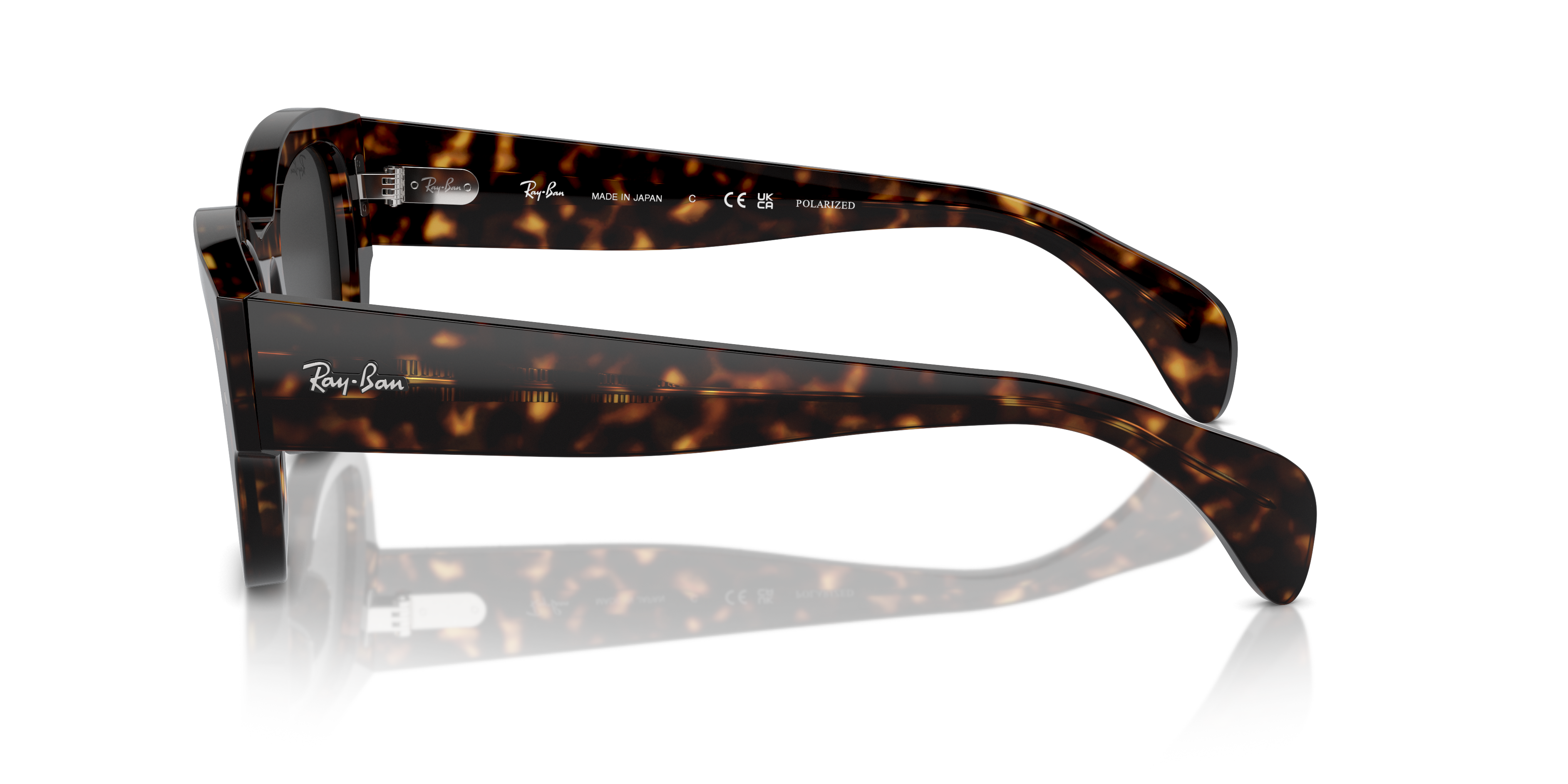 Ray-Ban Jorge Sunglasses RB7681S 902/48