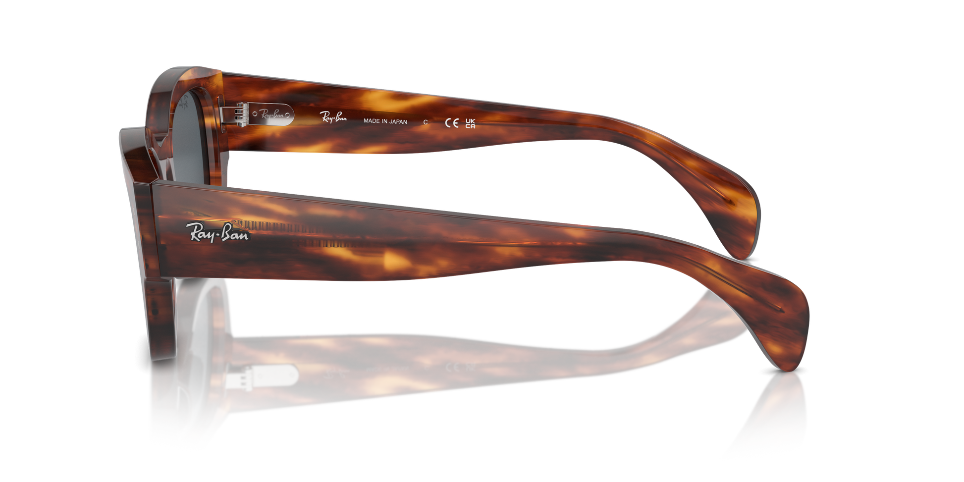 Ray-Ban Jorge Sunglasses RB7681S 954/R5