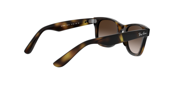 Ray-Ban Junior Wayfarer RJ9066S 152/13