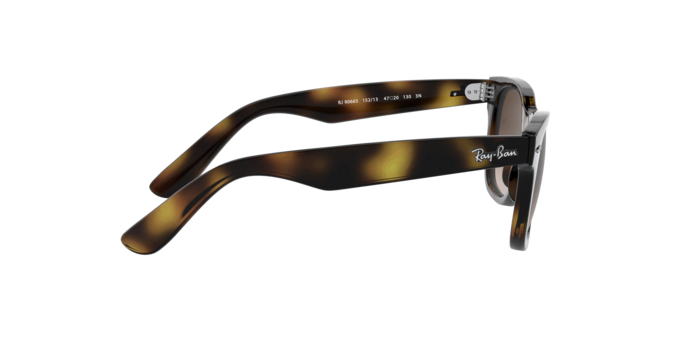 Ray-Ban Junior Wayfarer RJ9066S 152/13