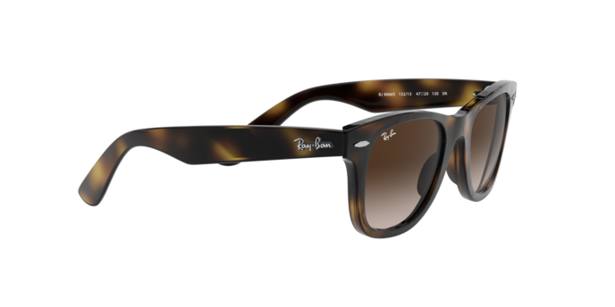 Ray-Ban Junior Wayfarer RJ9066S 152/13