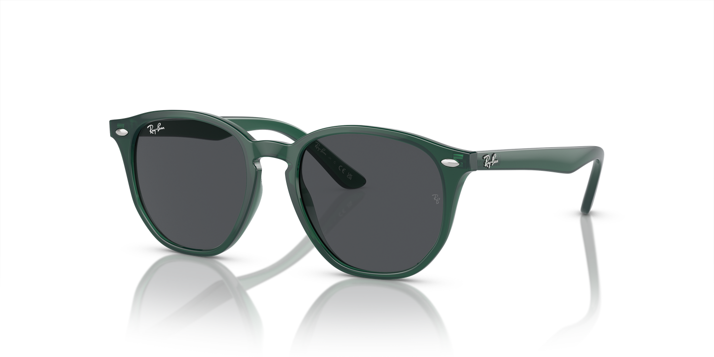 Ray-Ban RJ9070S 713087