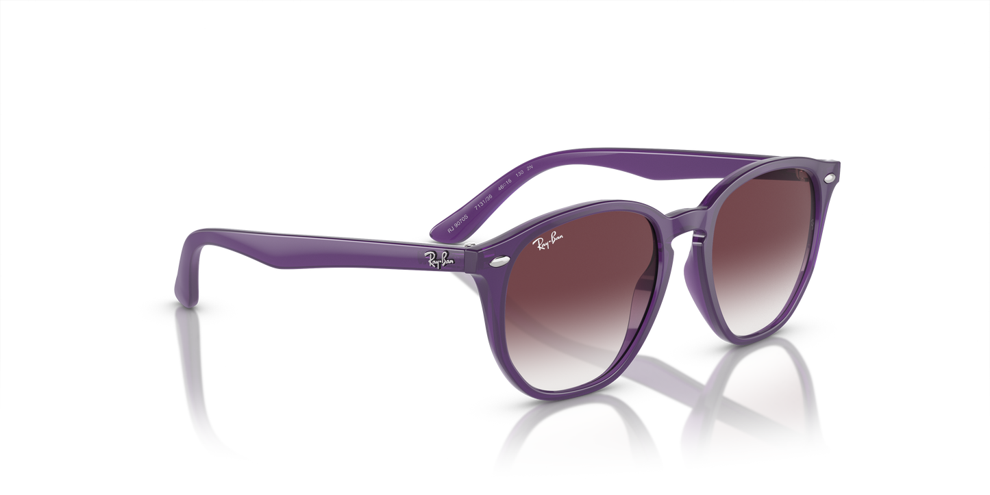 Ray-Ban RJ9070S 713136