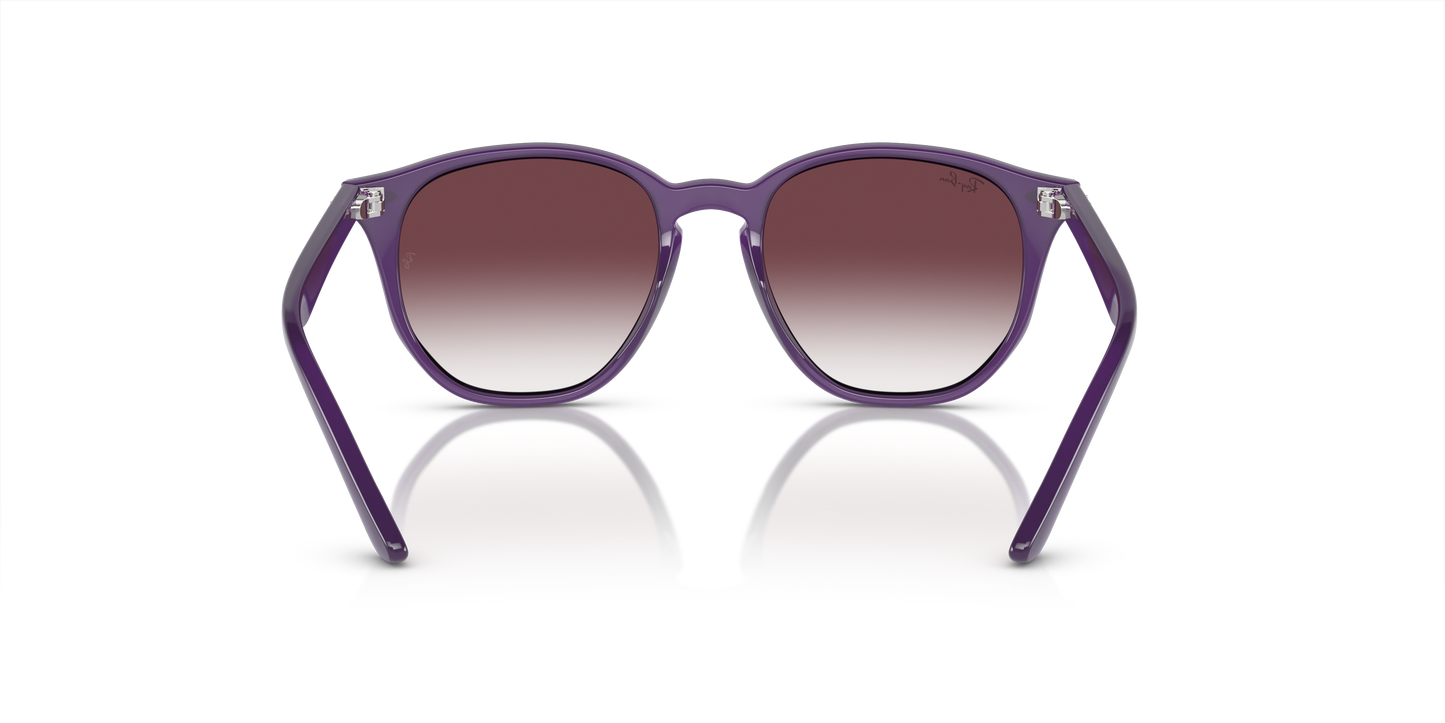 Ray-Ban RJ9070S 713136