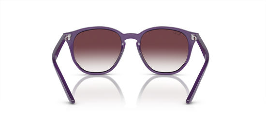 Ray-Ban RJ9070S 713136