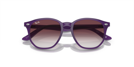 Ray-Ban RJ9070S 713136