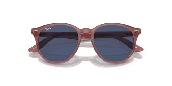 Ray-Ban RJ9070S 715680