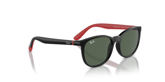 Ray-Ban RJ9079S 713171