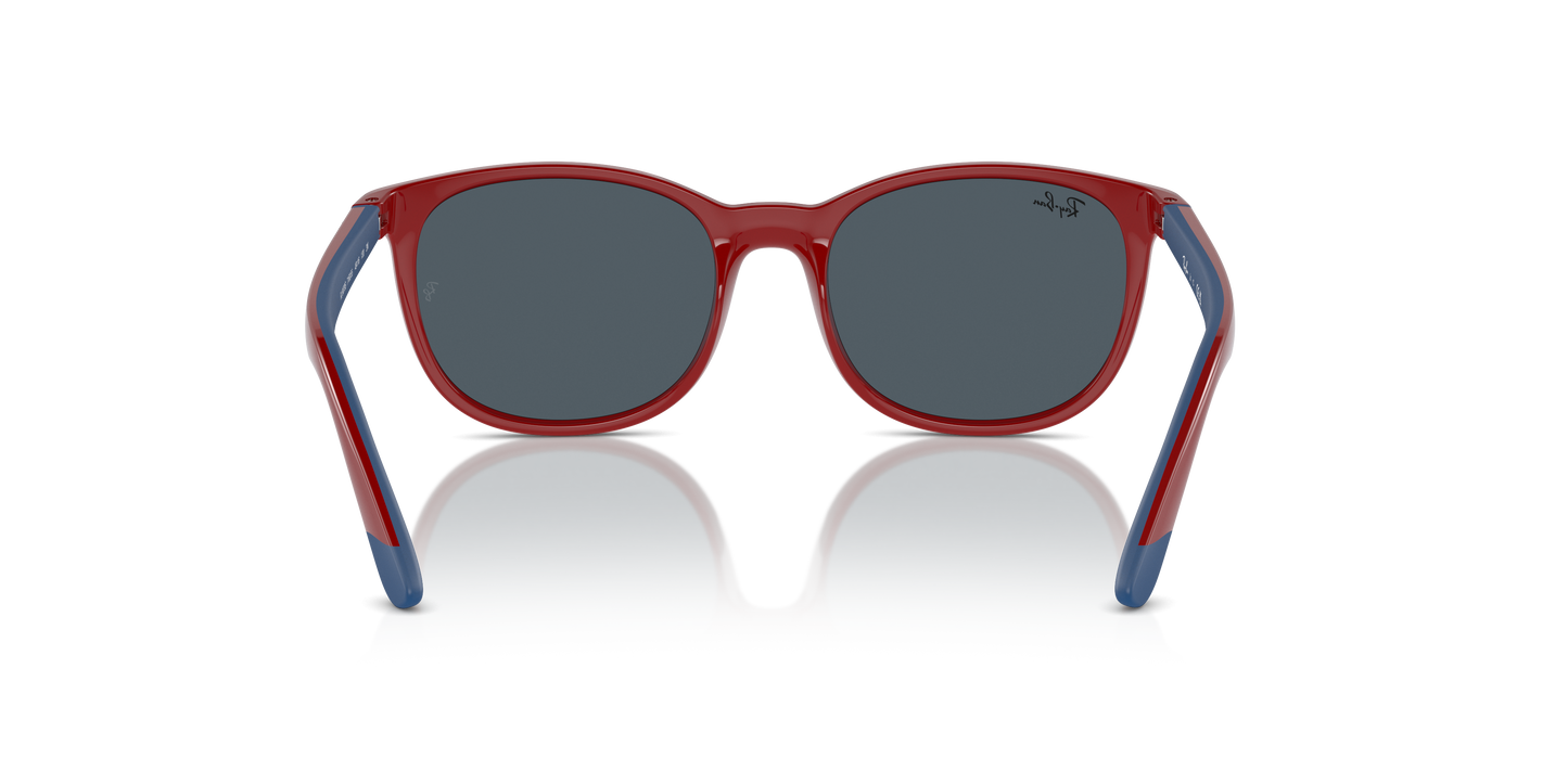 Ray-Ban RJ9079S 716055