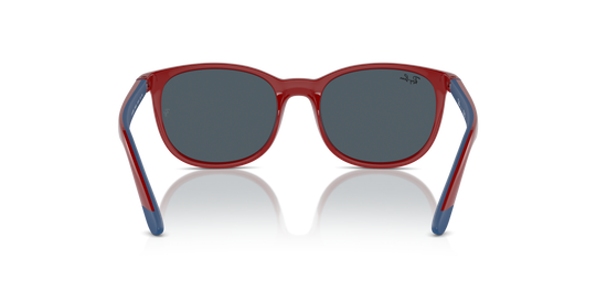 Ray-Ban RJ9079S 716055