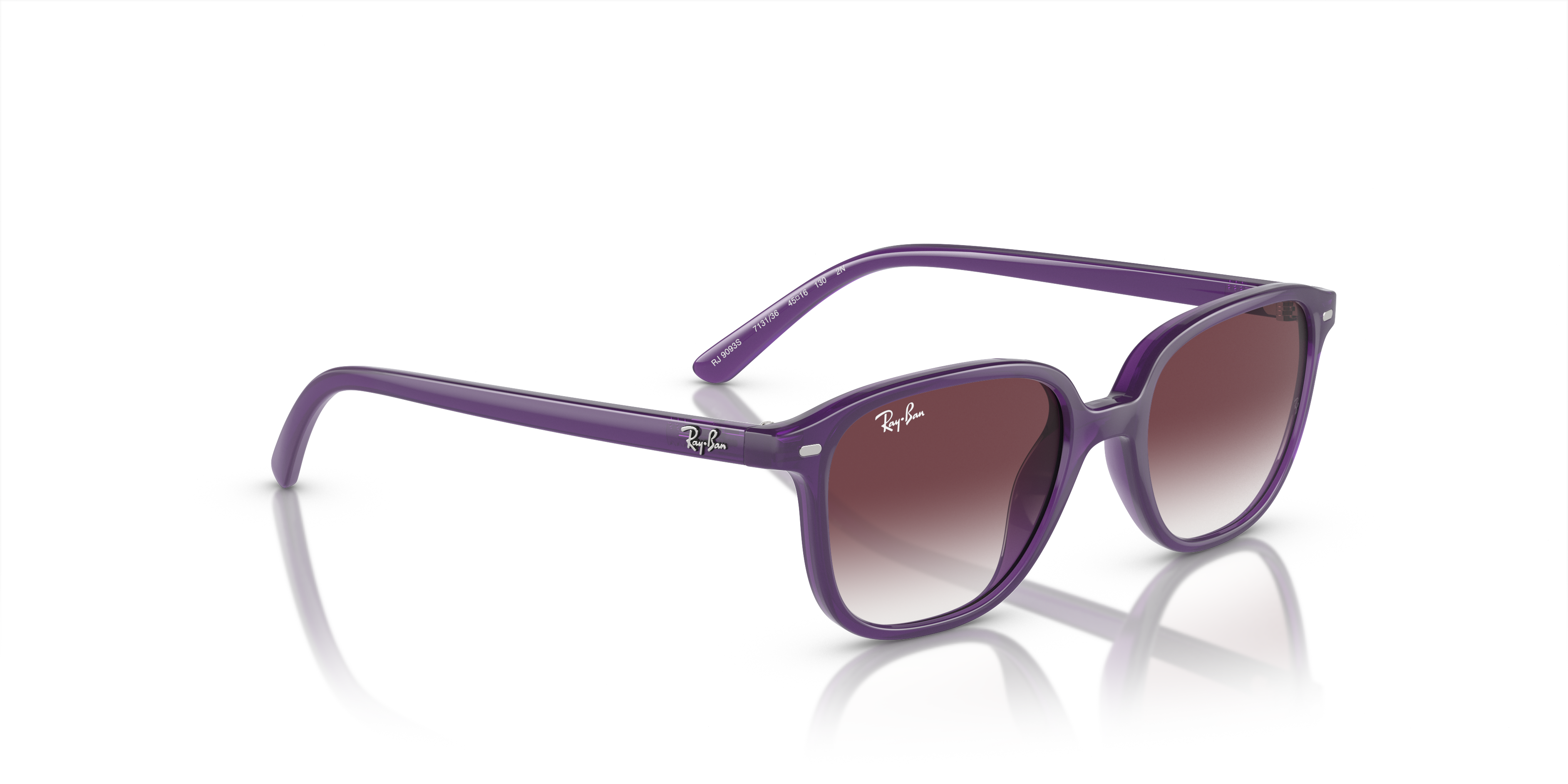 Ray-Ban Junior Leonard RJ9093S 713136
