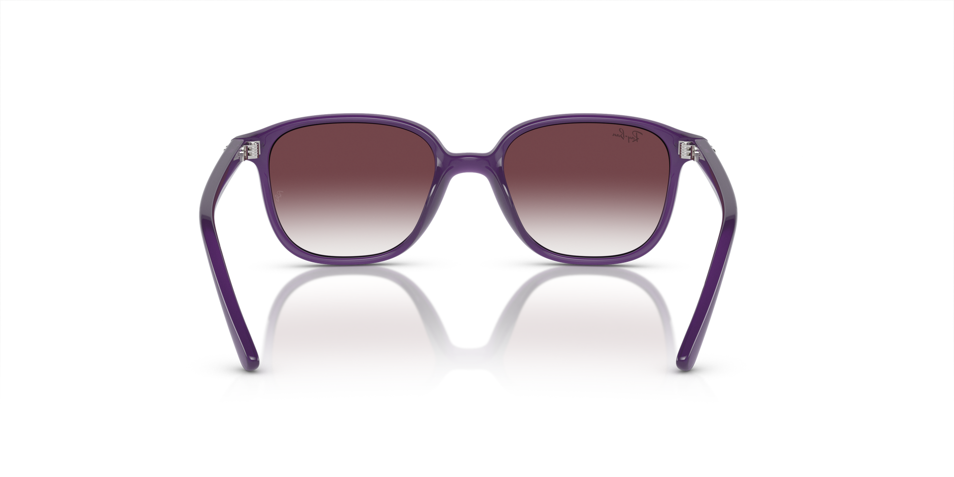 Ray-Ban Junior Leonard RJ9093S 713136