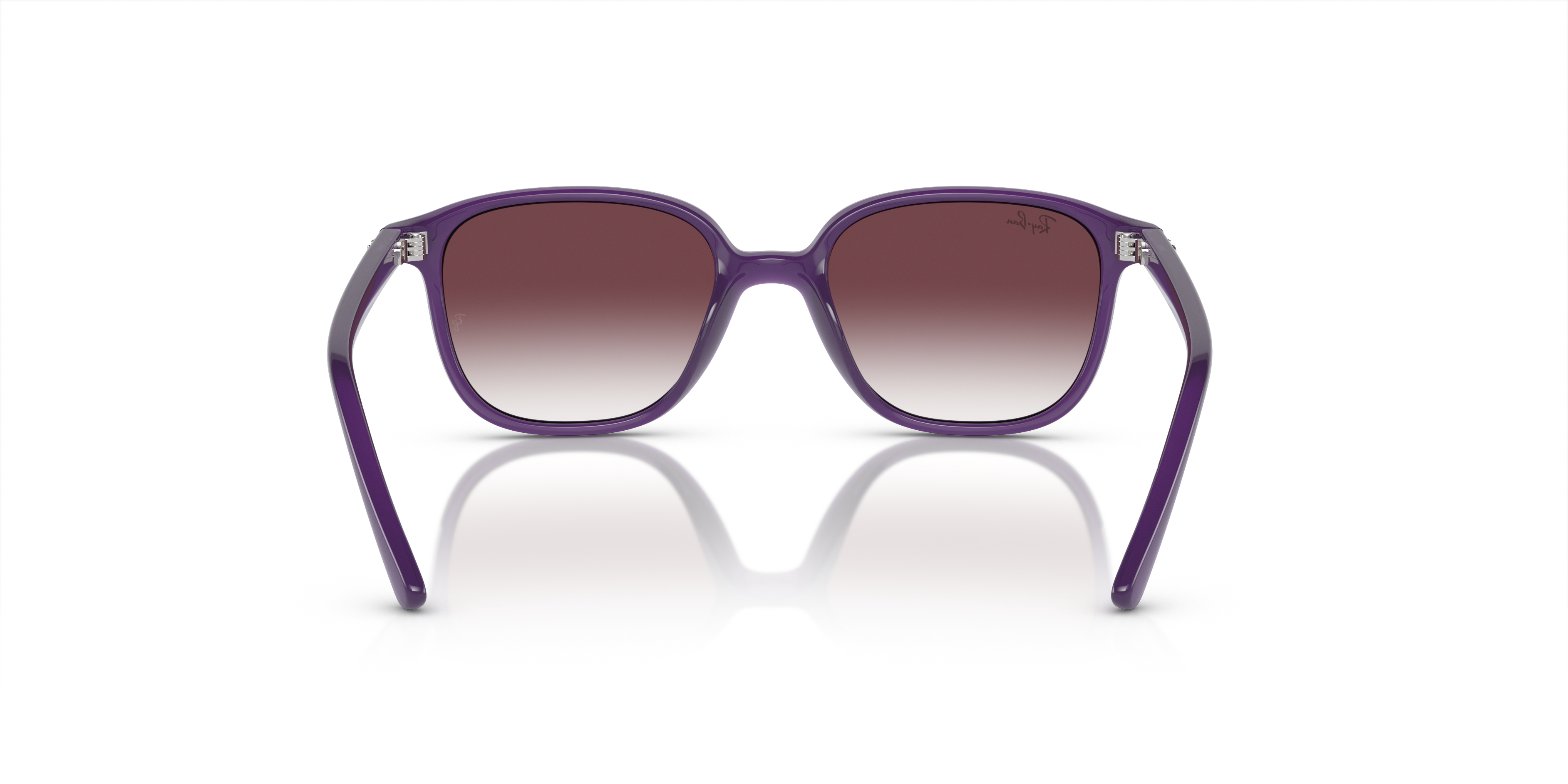 Ray-Ban Junior Leonard RJ9093S 713136