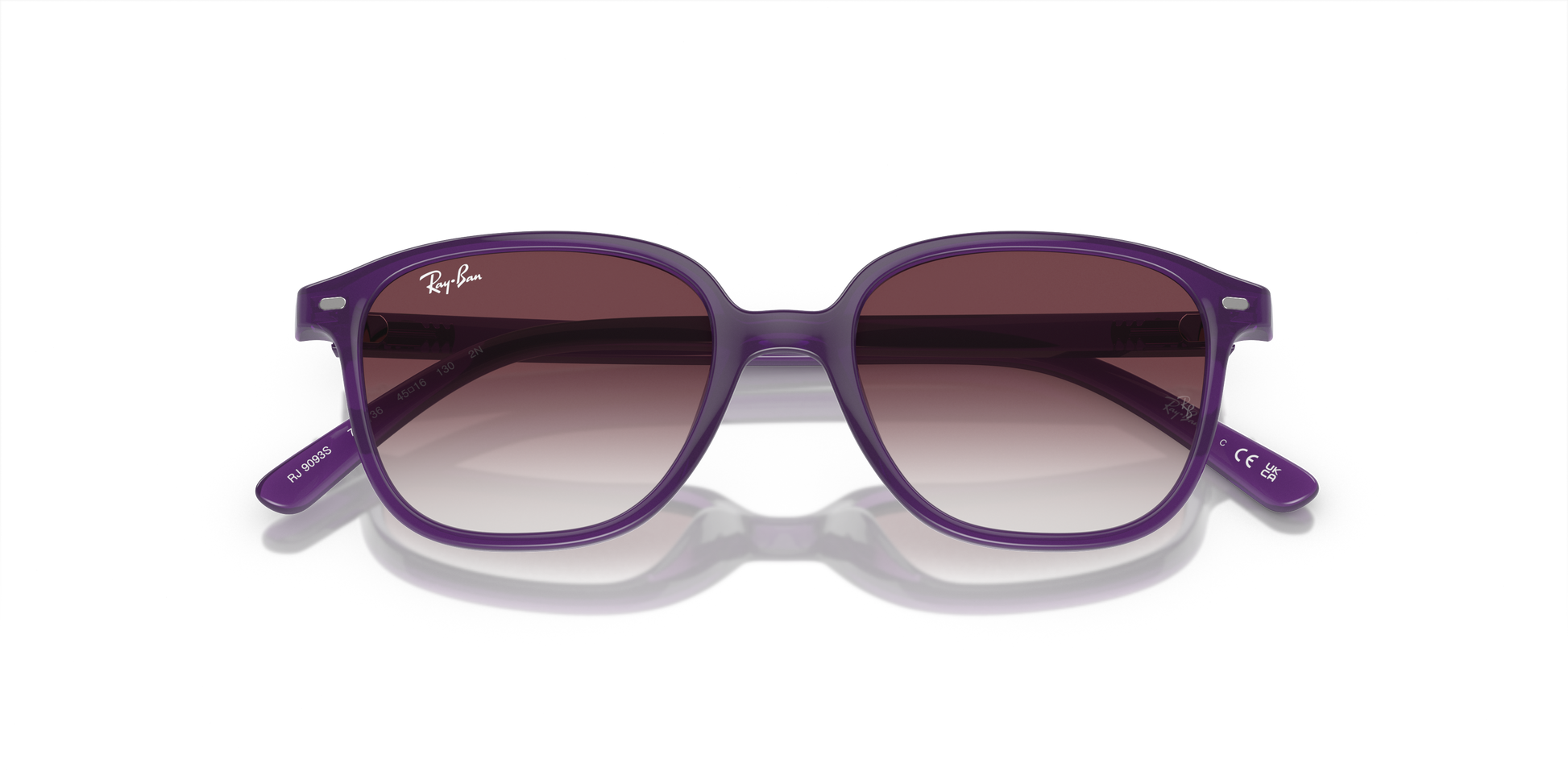 Ray-Ban Junior Leonard RJ9093S 713136
