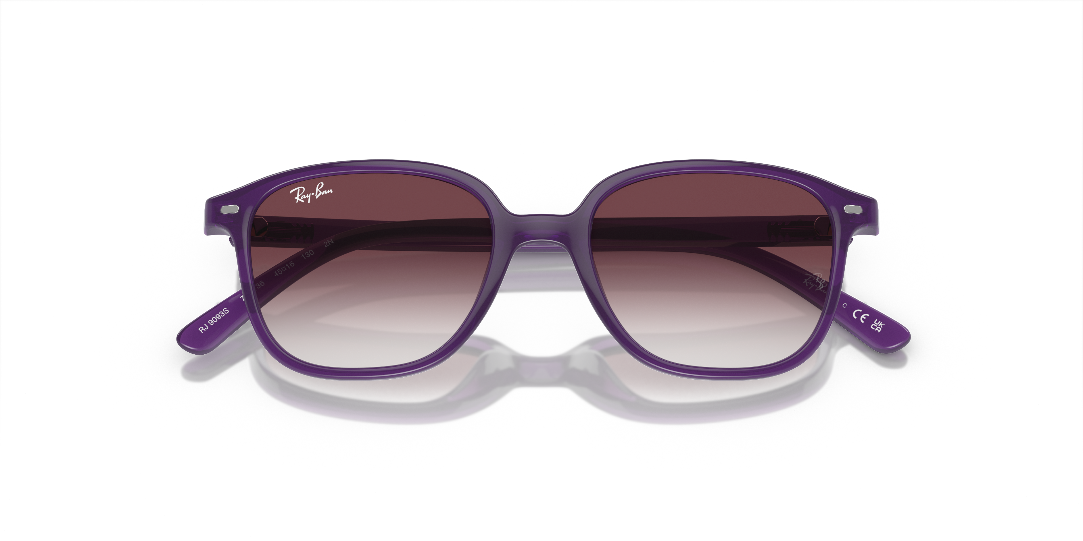 Ray-Ban Junior Leonard RJ9093S 713136