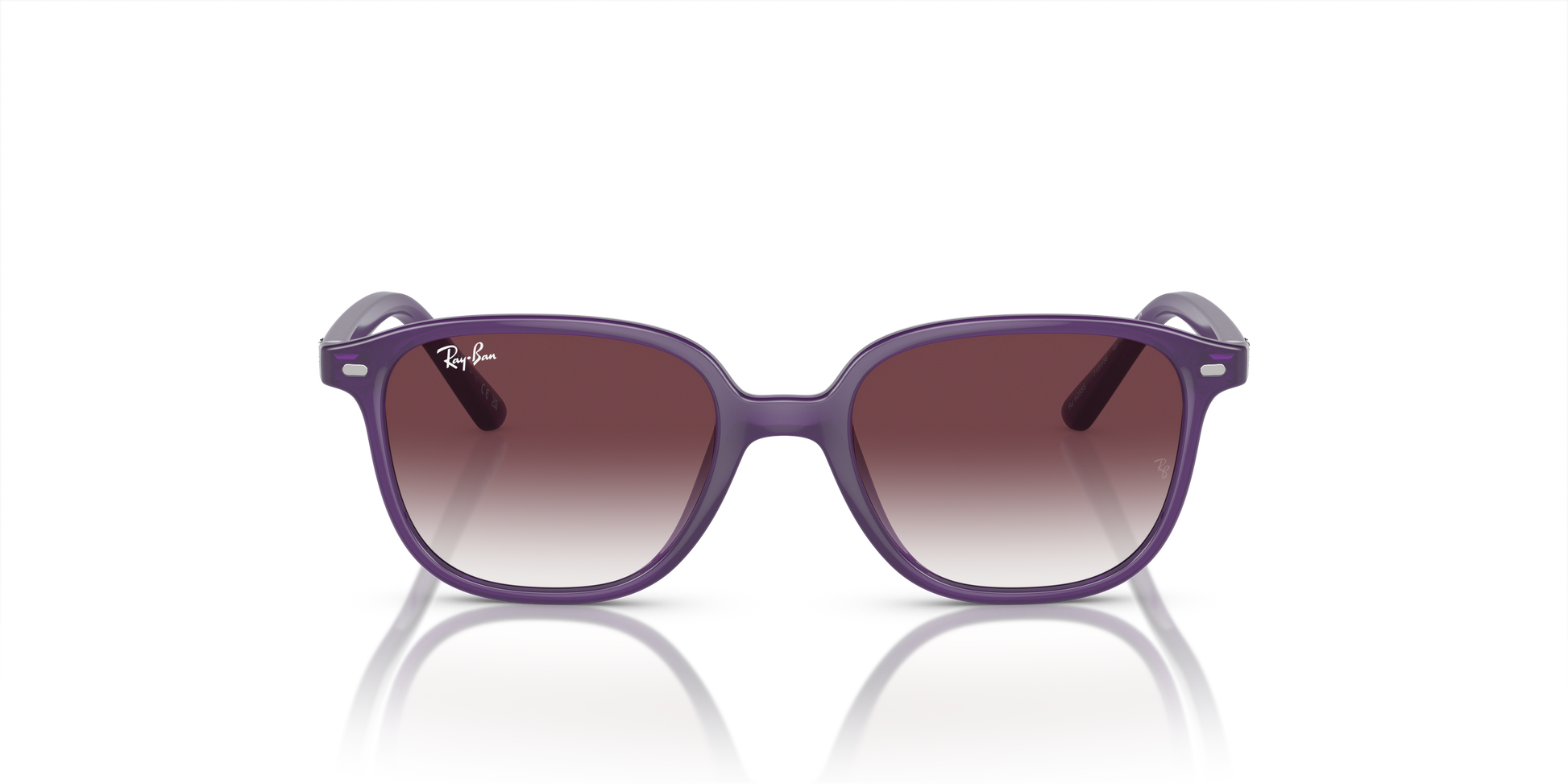 Ray-Ban Junior Leonard RJ9093S 713136