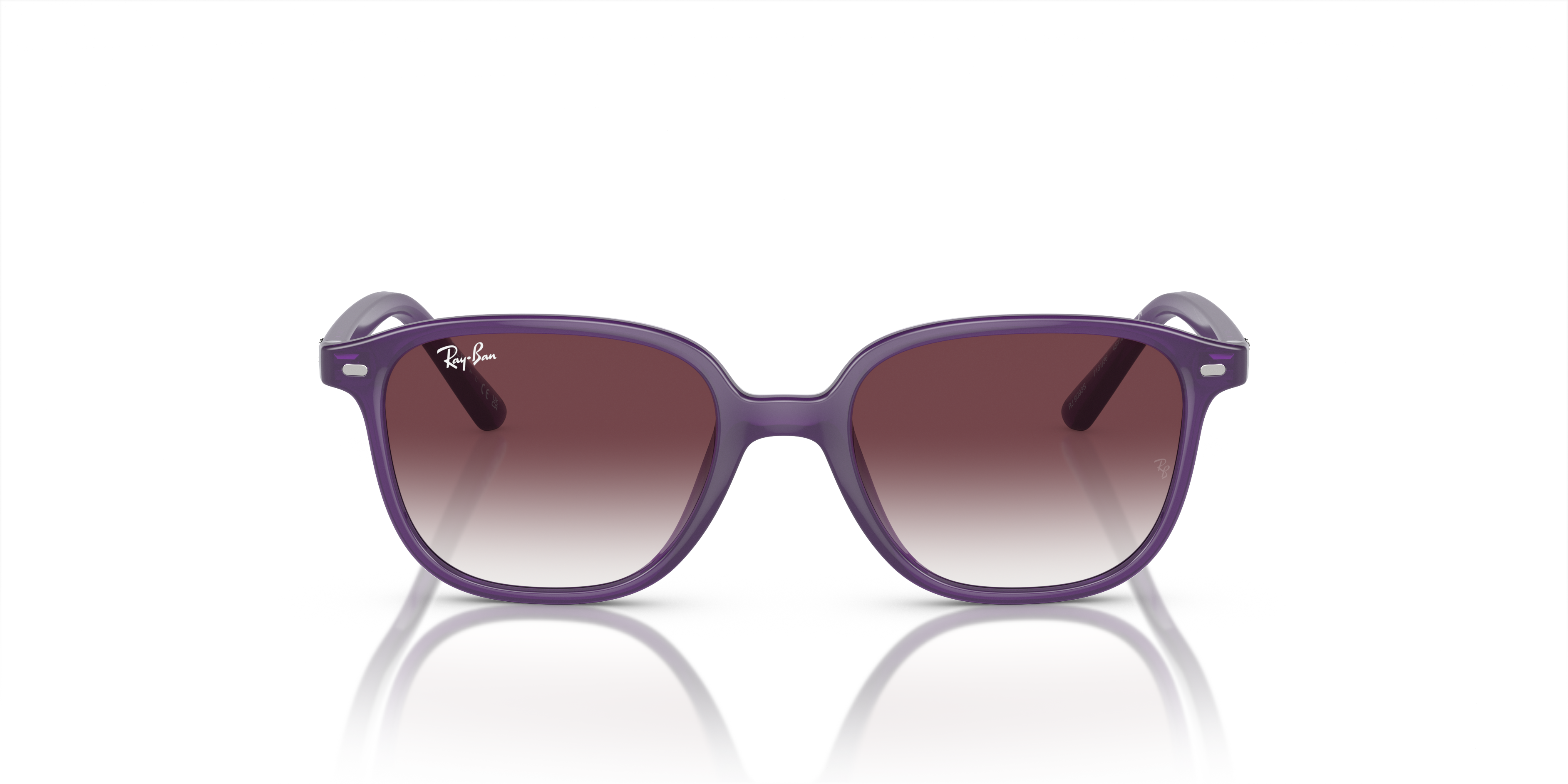 Ray-Ban Junior Leonard RJ9093S 713136