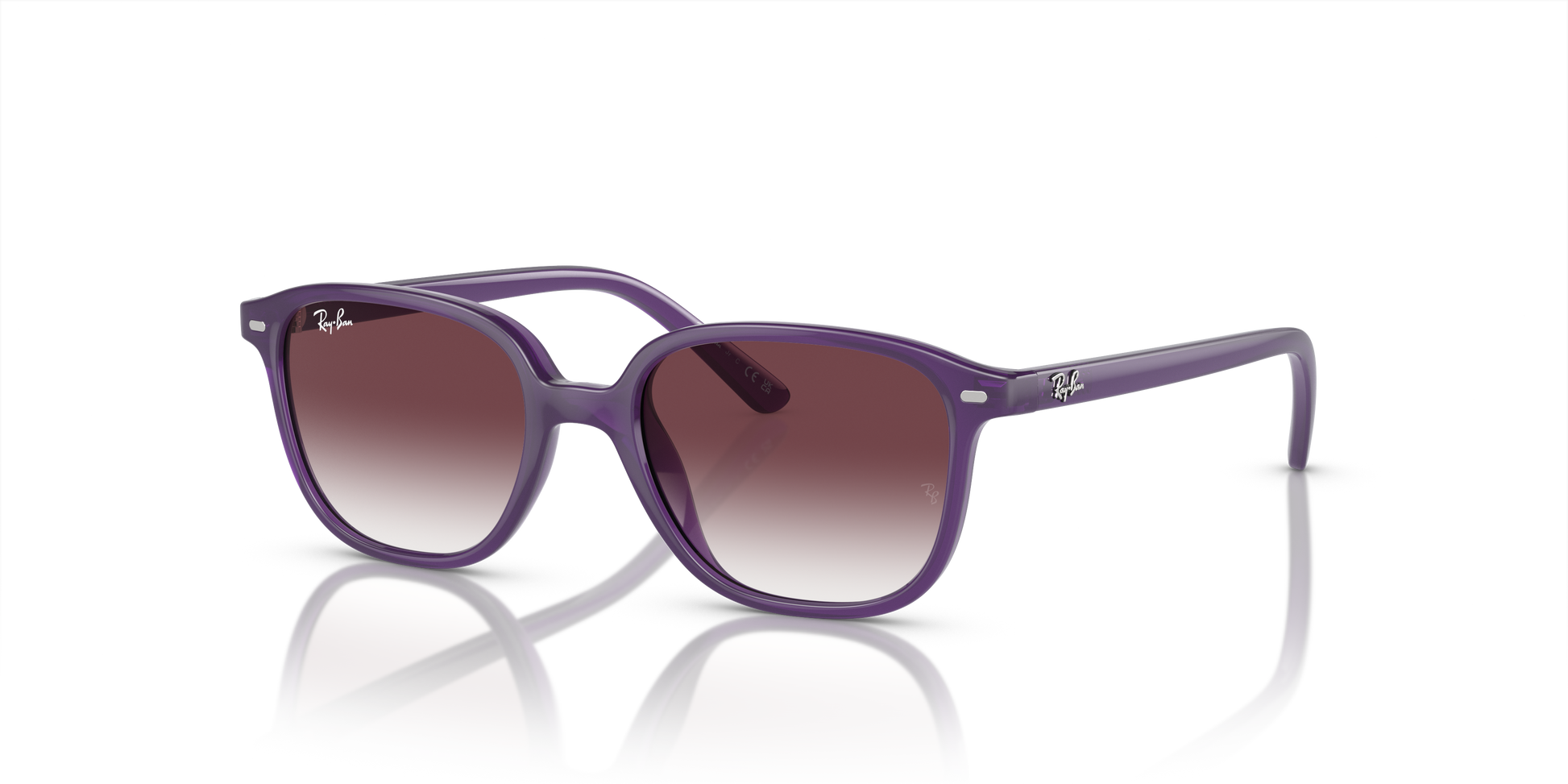 Ray-Ban Junior Leonard RJ9093S 713136