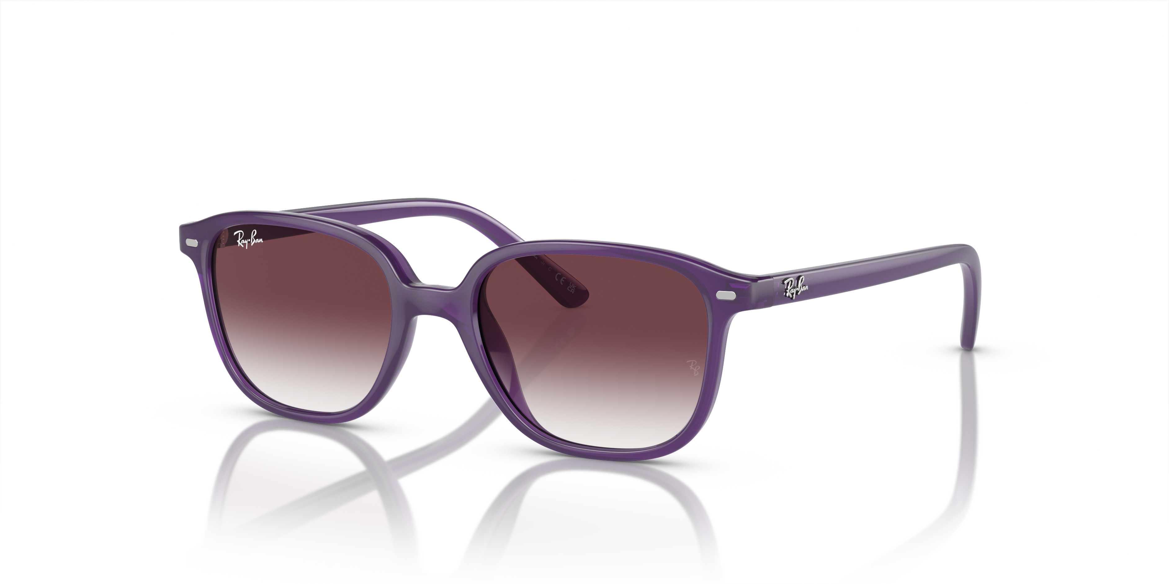 Ray-Ban Junior Leonard RJ9093S 713136