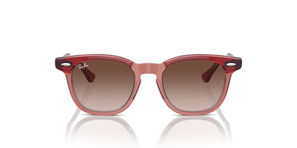 Ray-Ban RJ9098S 715413