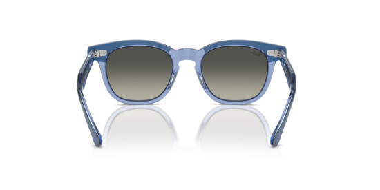 Ray-Ban RJ9098S 715911