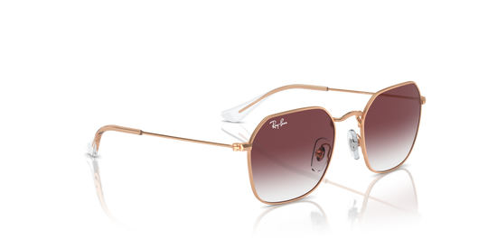 Ray-Ban RJ9594S 291/8H