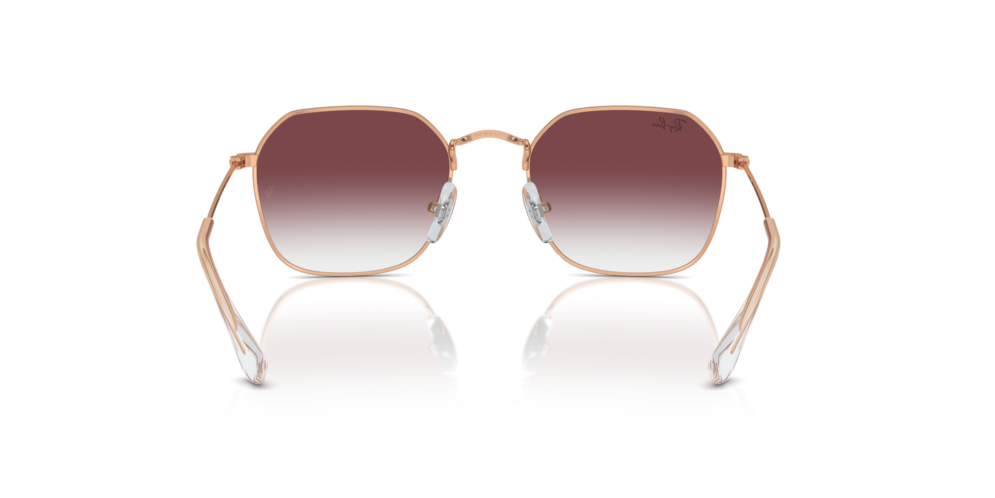 Ray-Ban RJ9594S 291/8H