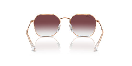 Ray-Ban RJ9594S 291/8H