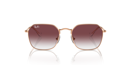 Ray-Ban RJ9594S 291/8H