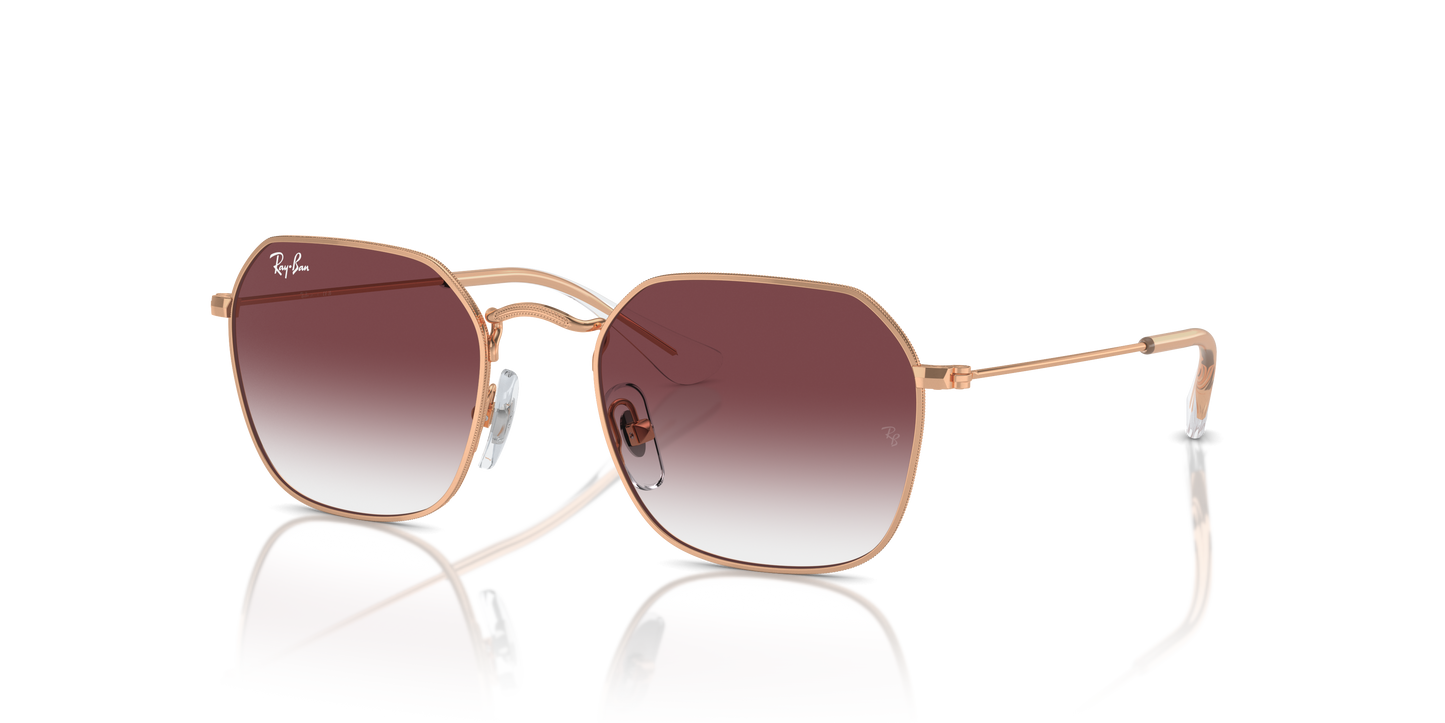 Ray-Ban RJ9594S 291/8H